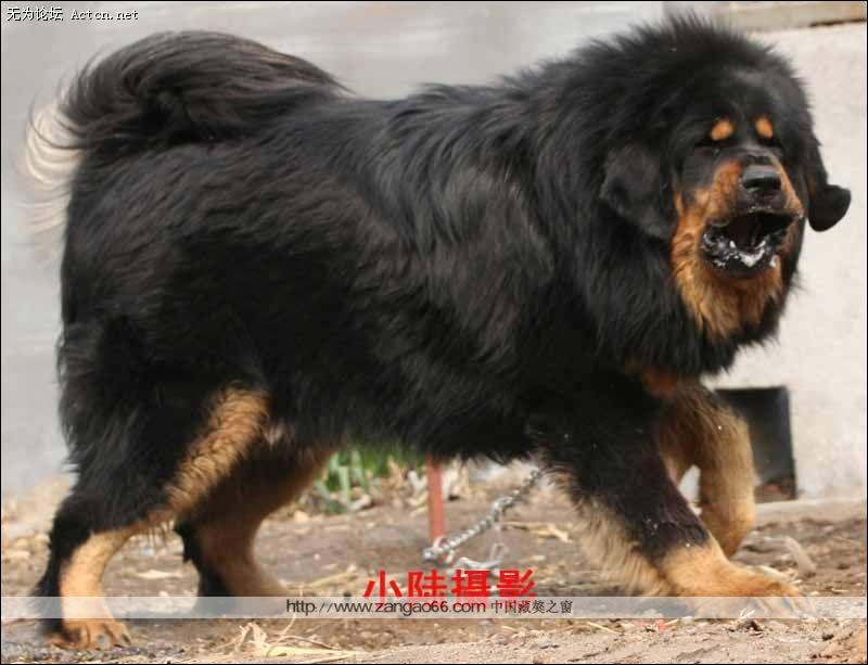 xinsrc_33208042717268122966713.jpg
