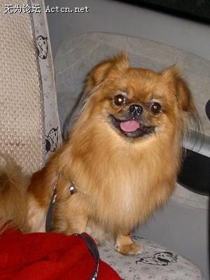 PICT3755.JPG