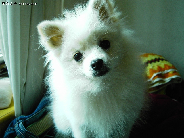 Ƭ 024.jpg