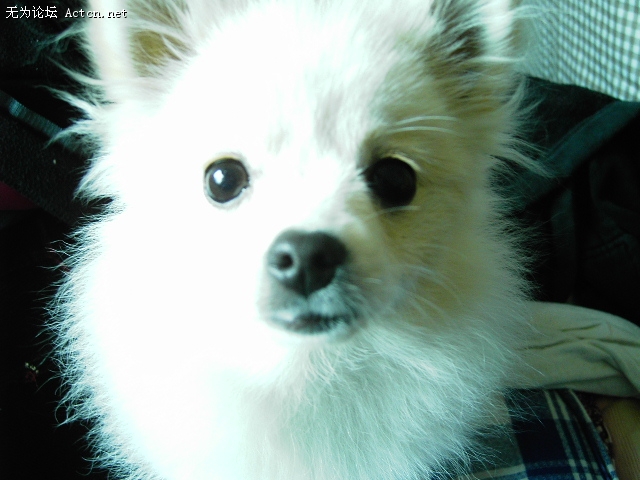 Ƭ 025.jpg