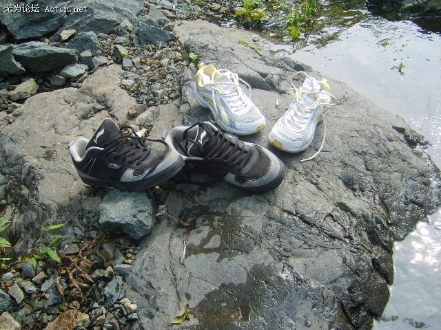 S6000496.JPG