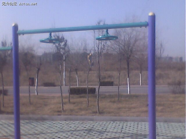 IMG0245A.jpg