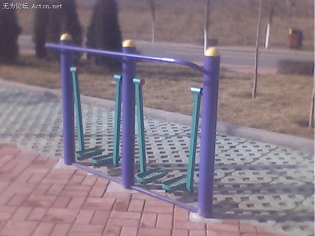 IMG0246A.jpg