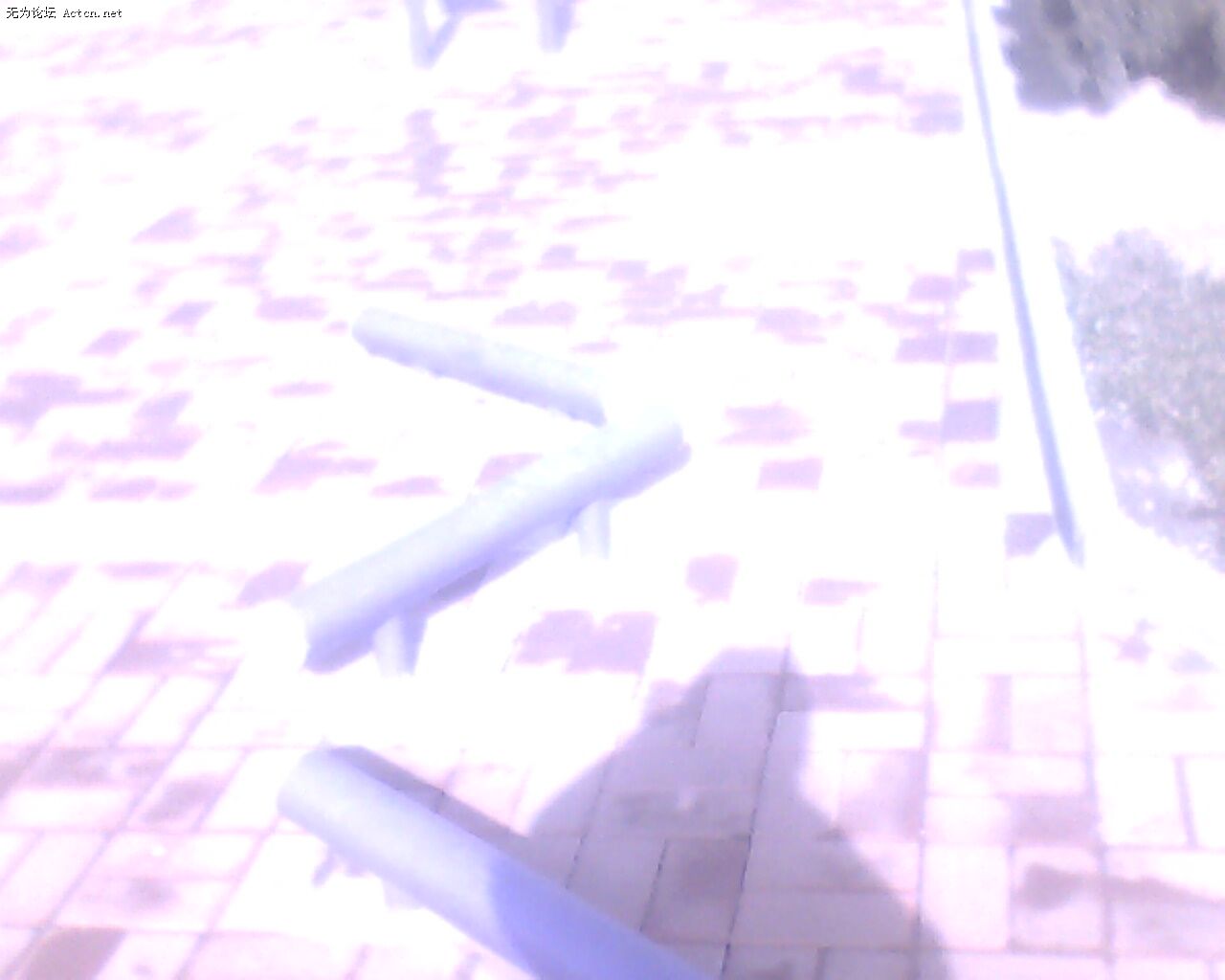IMG0236A.jpg