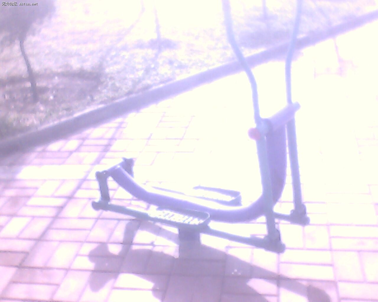 IMG0230A.jpg