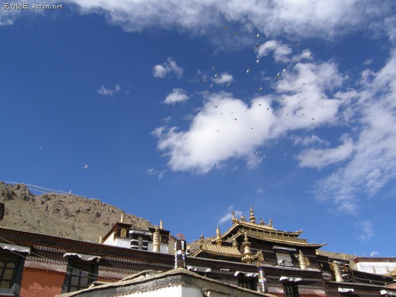 PA170405.JPG