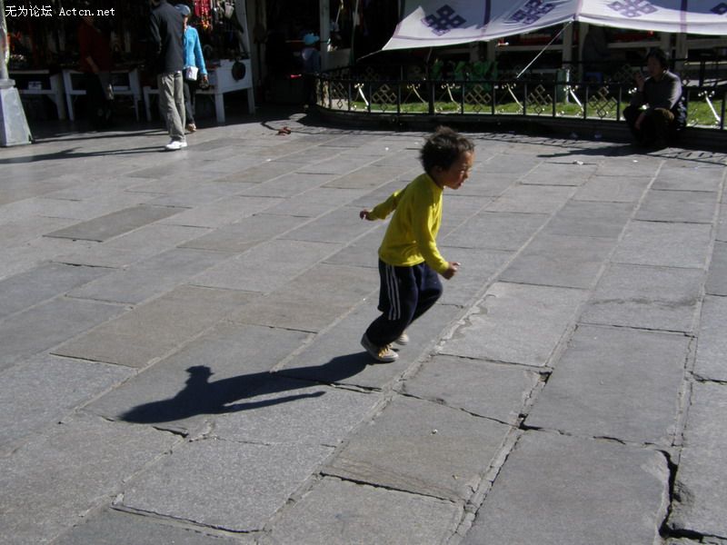 PA130657.JPG