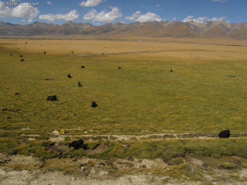 PA120653.JPG