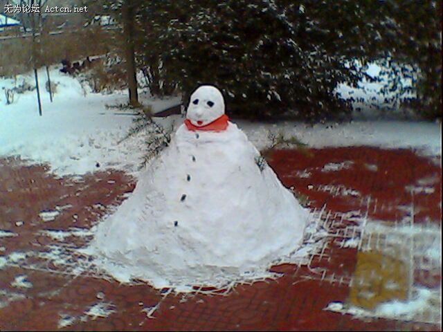 IMG0207A.jpg