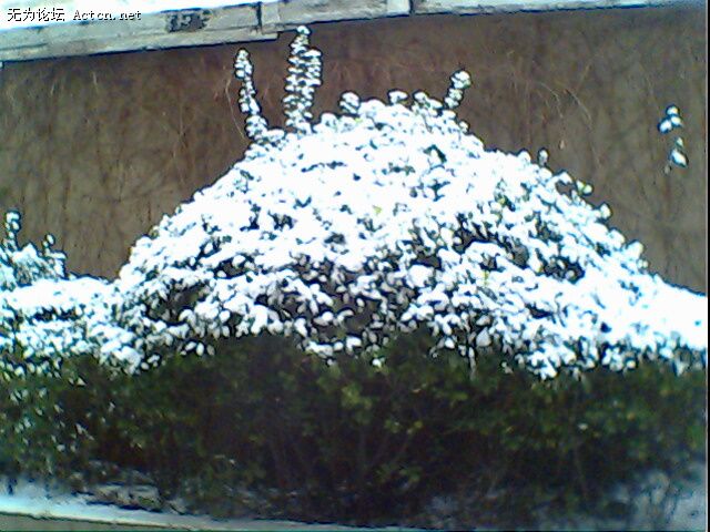 IMG0187A.jpg