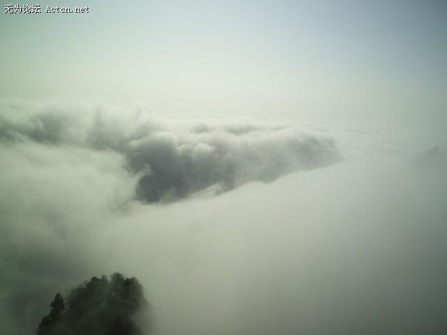 PIC00233.JPG
