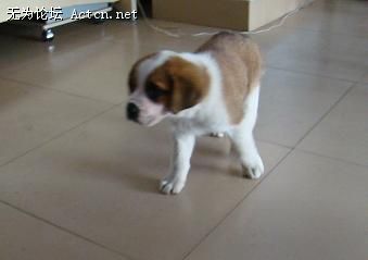 DSC00666.JPG