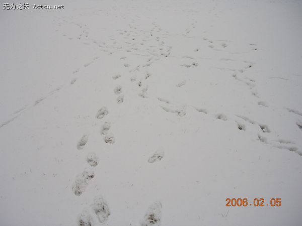 DSCN3730.JPG