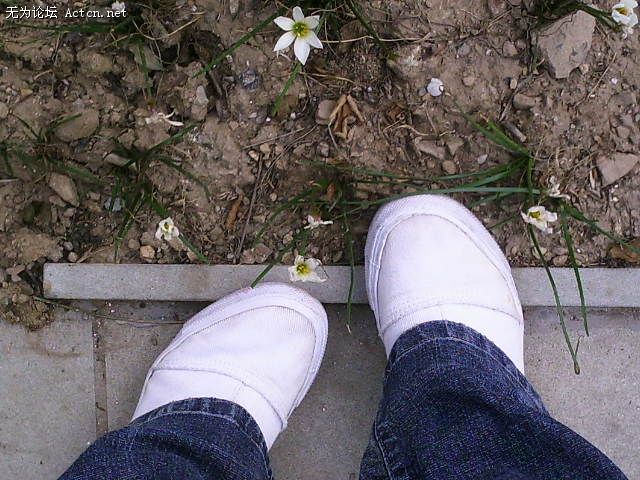 PIC00132.JPG