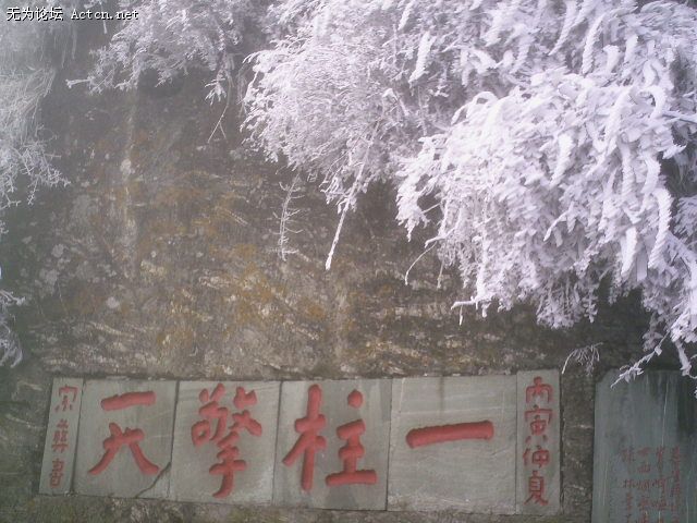 PIC00226.JPG