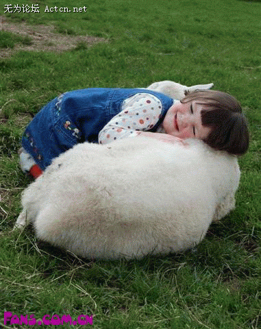 0004681060.gif