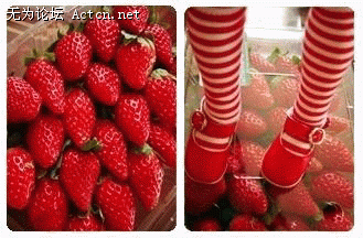 0004681017.gif
