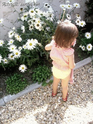 0004681014.gif