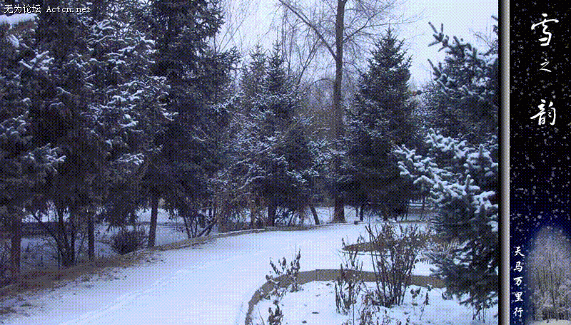 03023E9B.gif