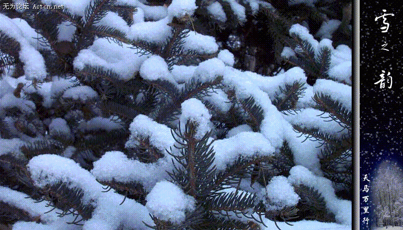 03023E7A.gif