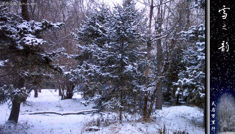 03023E31.gif
