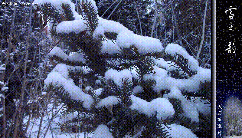 03023E69.gif