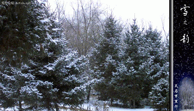 03023EA7.gif