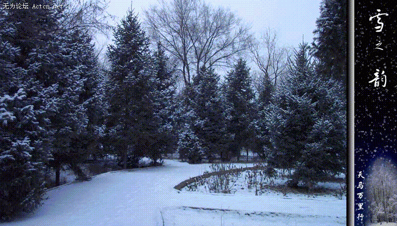 03023E8B.gif