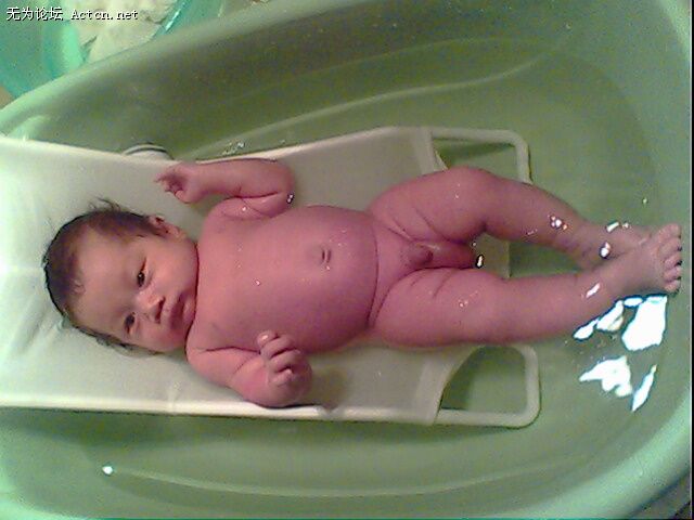 IMG0261A.jpg
