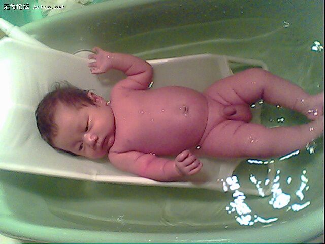 IMG0260A.jpg