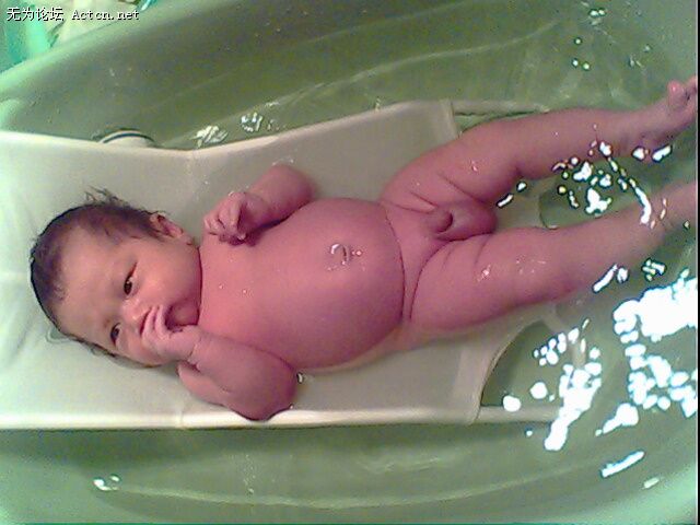IMG0264A.jpg