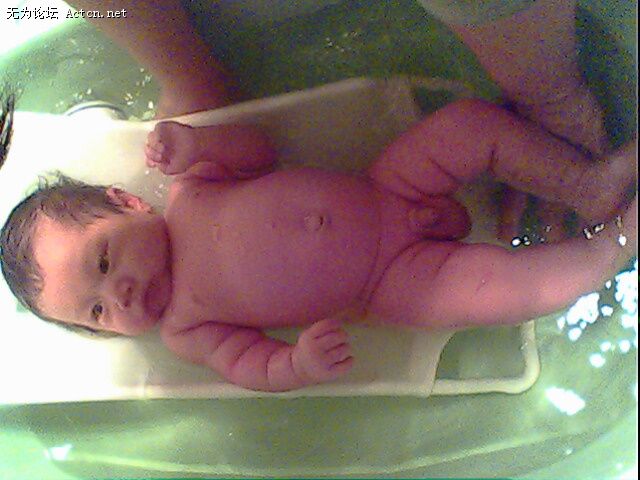 IMG0262A.jpg