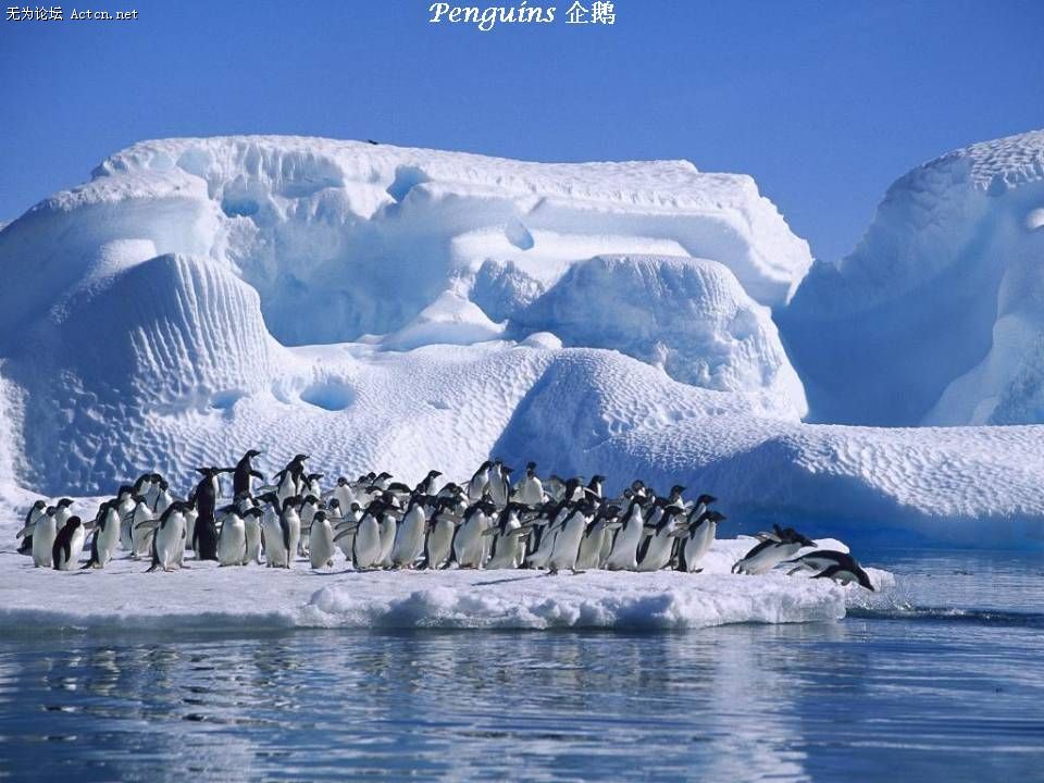r.jpg