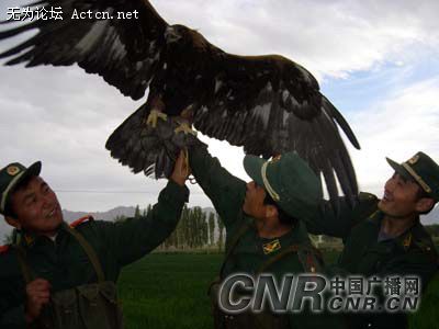 200710271826340[1].jpg