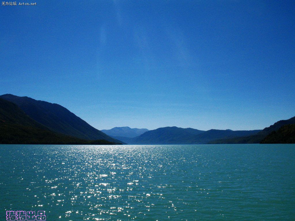 IMG_0411.jpg