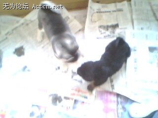 IMG0020A.jpg