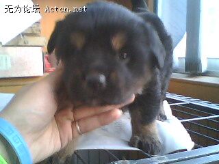 IMG0013A.jpg