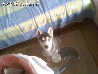 IMG0083A.jpg