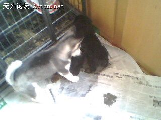 IMG0024A.jpg