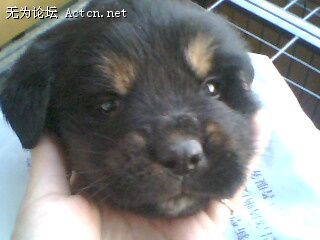 IMG0014A.jpg
