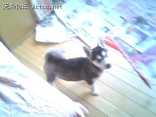 IMG0077A.jpg