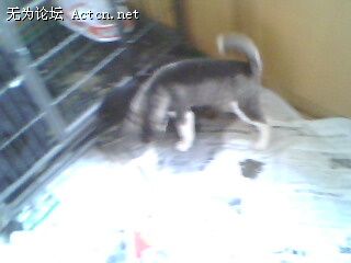 IMG0037A.jpg