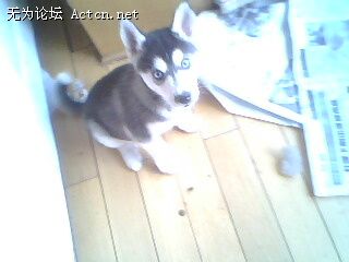 IMG0056A.jpg