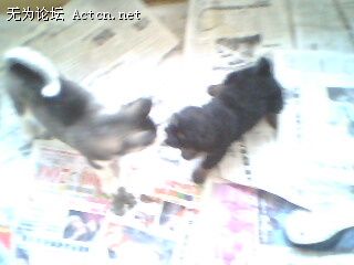IMG0019A.jpg