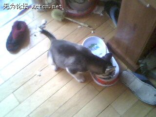 IMG0074A.jpg