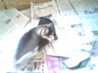 IMG0018A.jpg