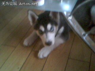 IMG0096A.jpg