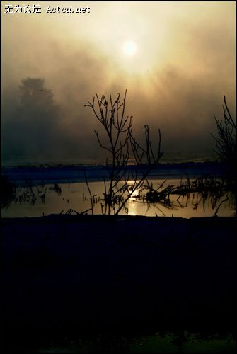 20080214_c97f91ca3e66250781cb92WfFeQ3sRhq.jpg