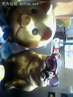 IMG0002A.jpg