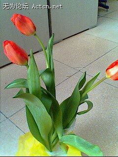 IMG0314A.jpg